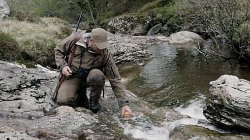 Browning Maral - Rehwild Jagd in Schottland