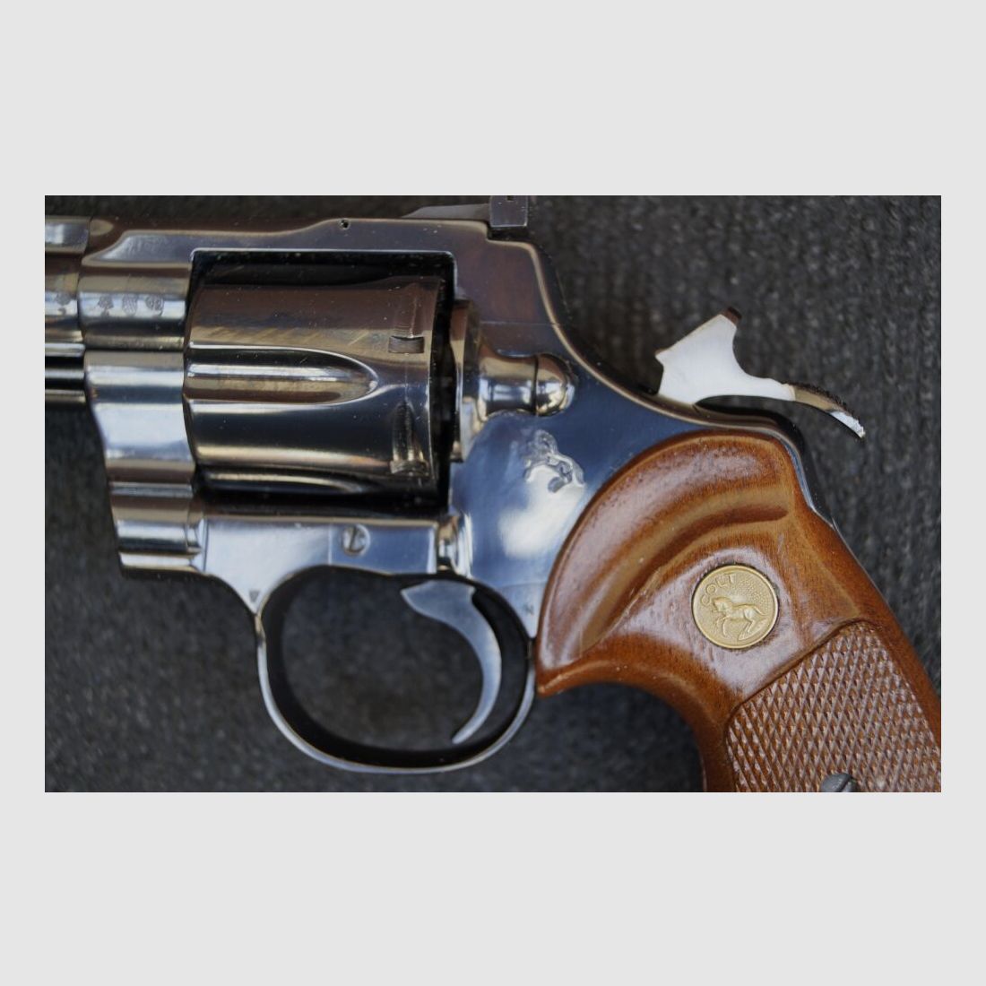 Colt Python 6"