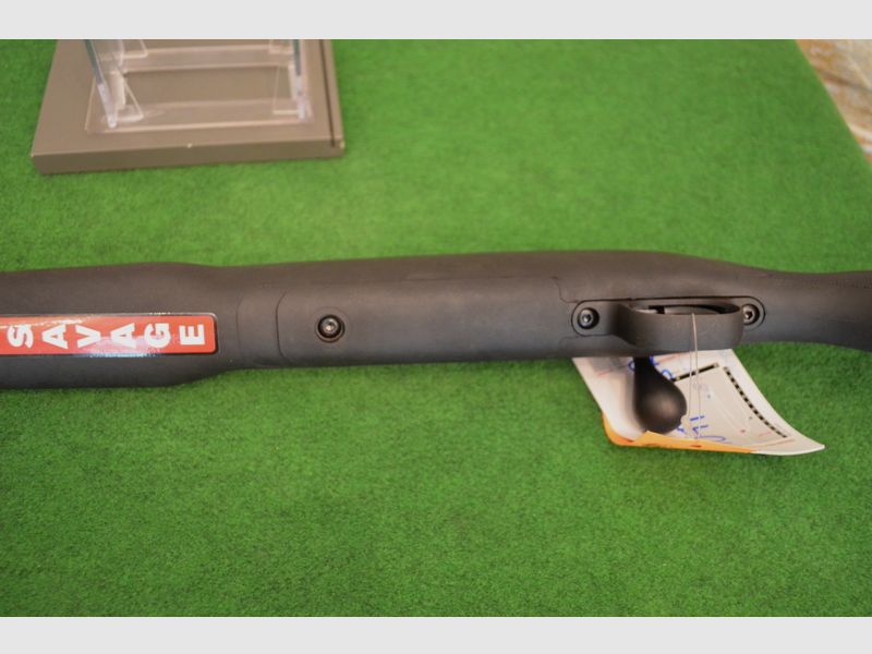 Savage Arms Model 10 FP-SR