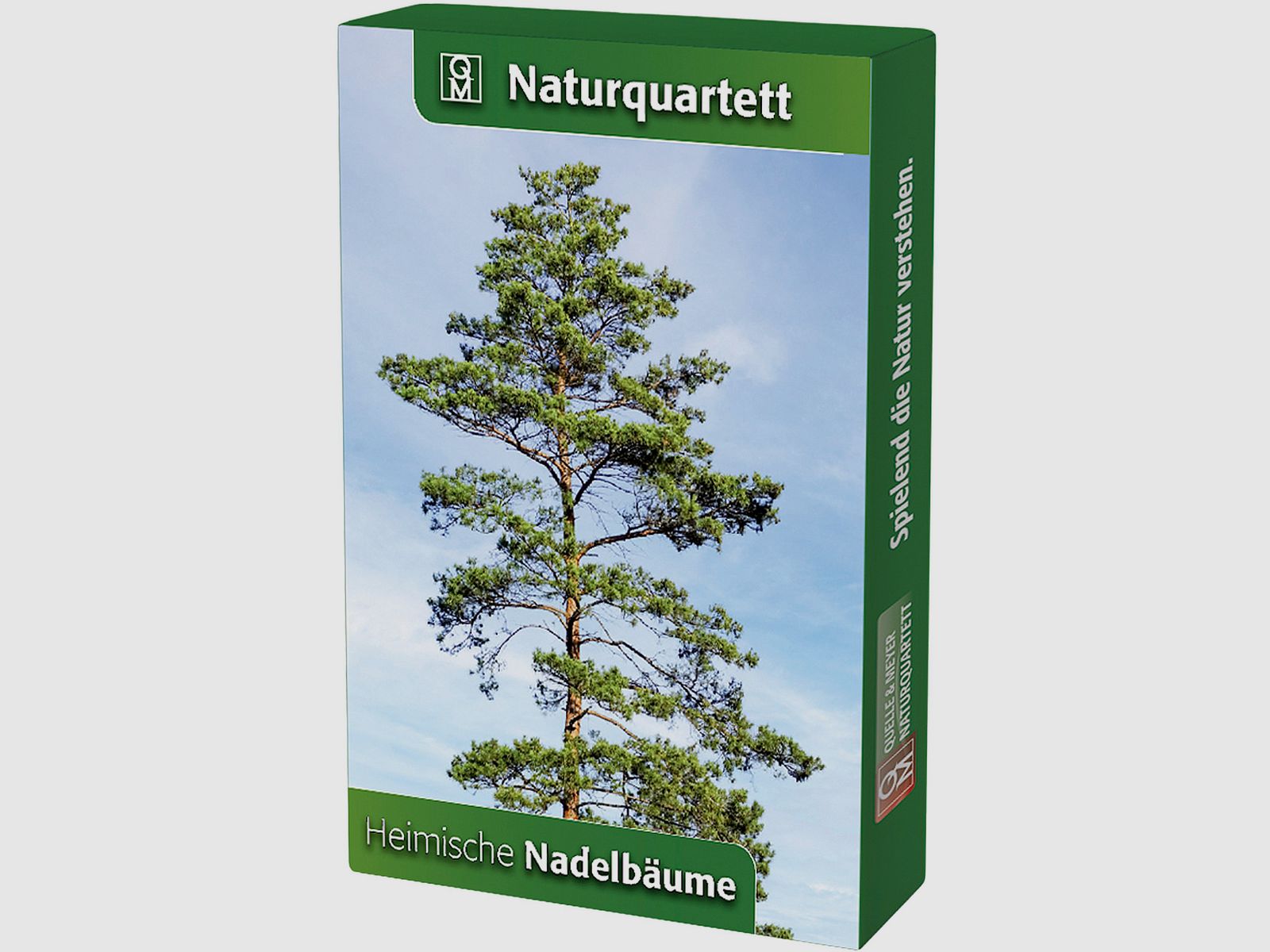 Naturquartett Heimische Nadelbume