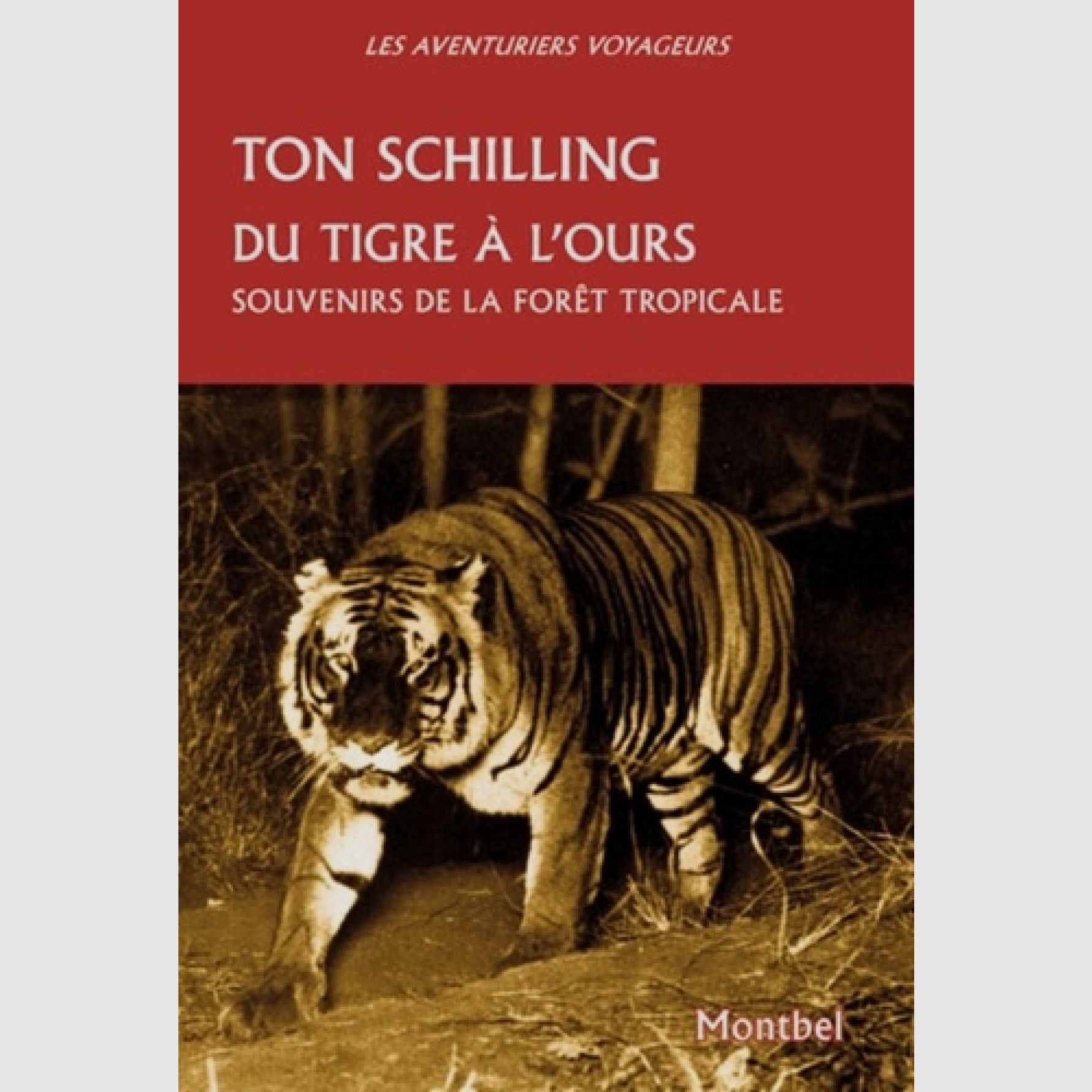 Vom Tiger zum Bären