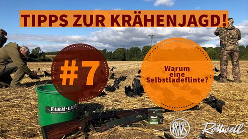 7 // Warum eine Selbstladeflinte zur Krähenjagd?