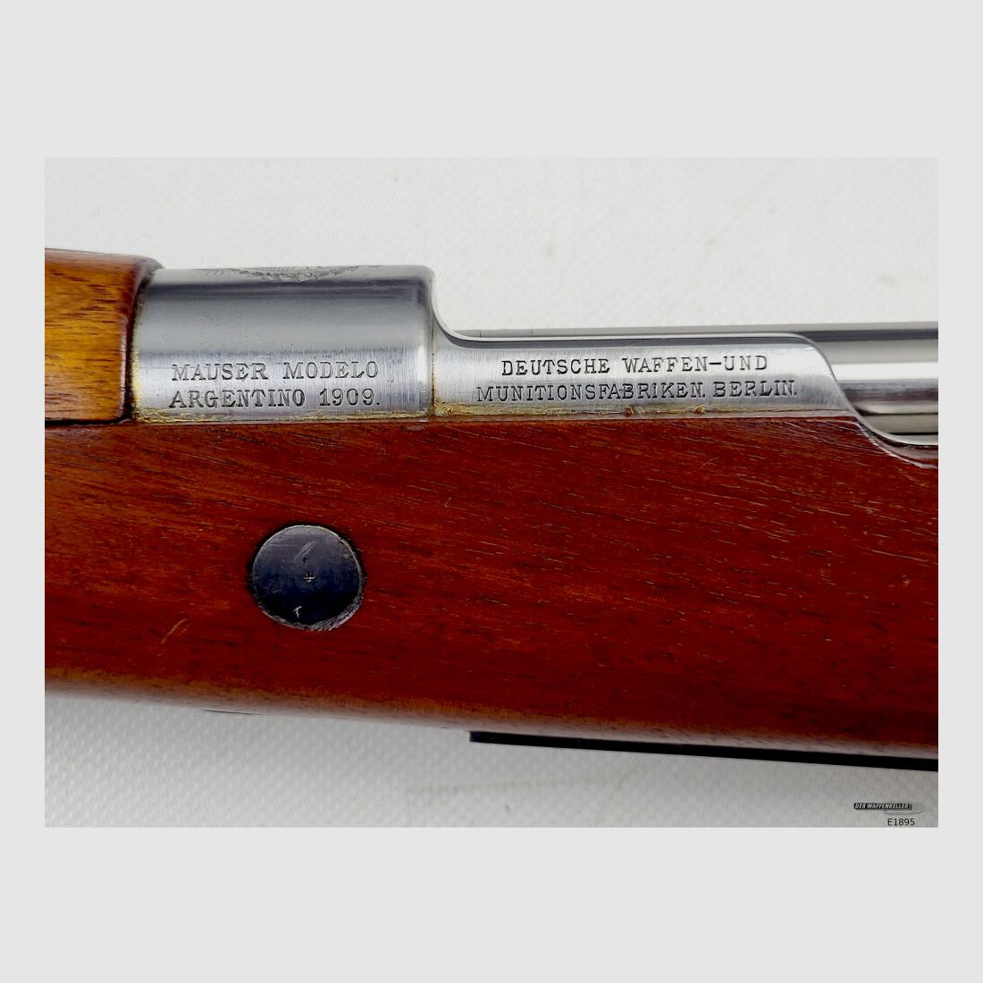 <DWM Argentino 1909, zdjęcie 4 z 10
