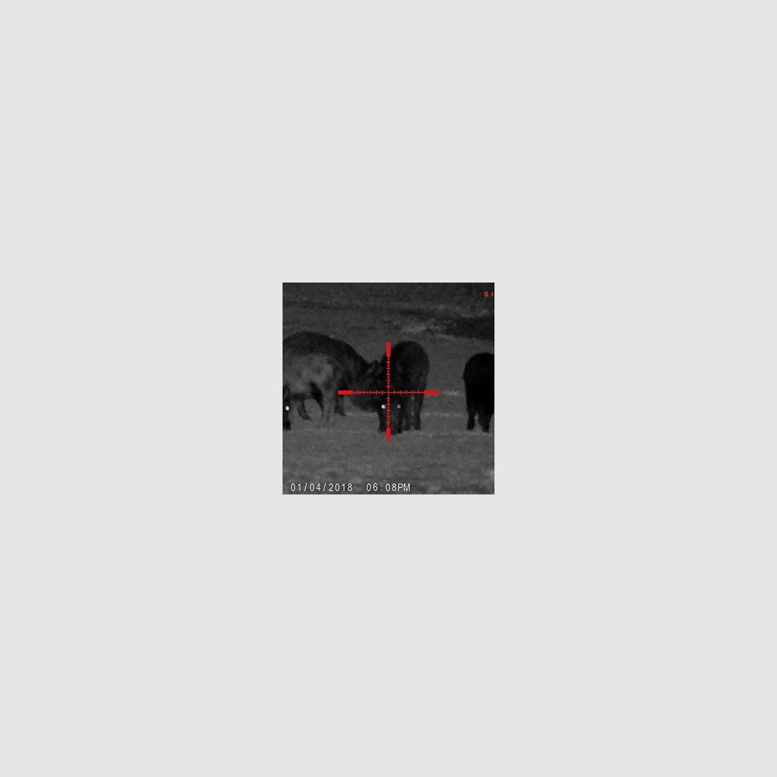 Sight Mark Wraith HD Serie 4-32x50, Bild 3 von 4