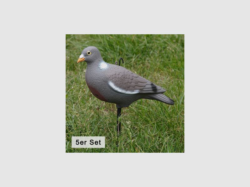il Lago Passion Ringeltaube Vollschale (5er Set) |