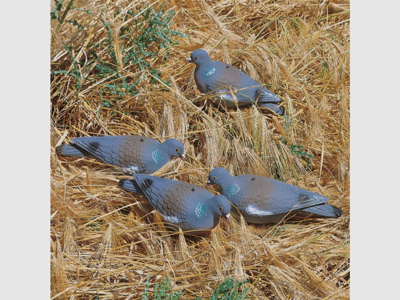 Zamek z tworzywa sztucznego