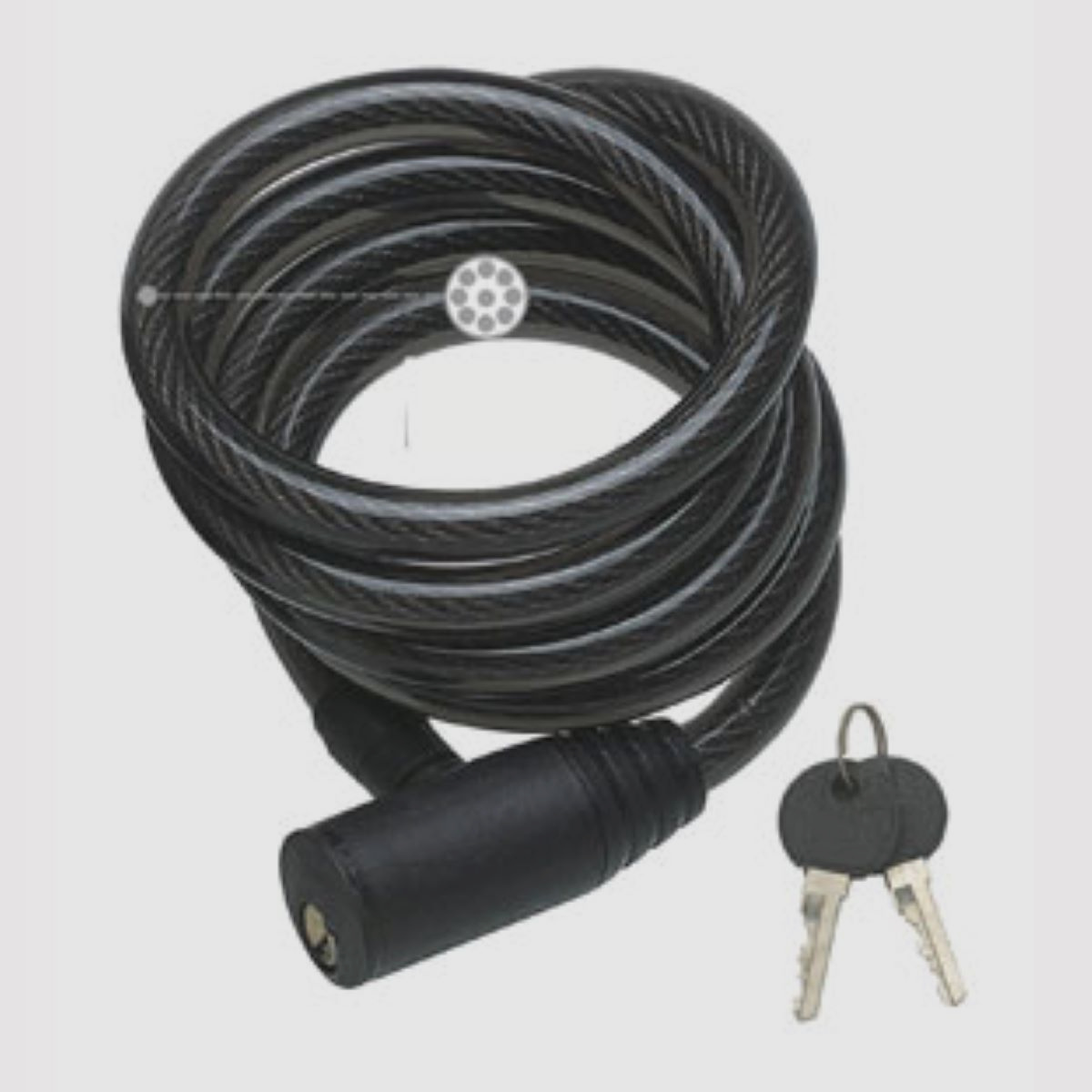 Spypoint theft protection