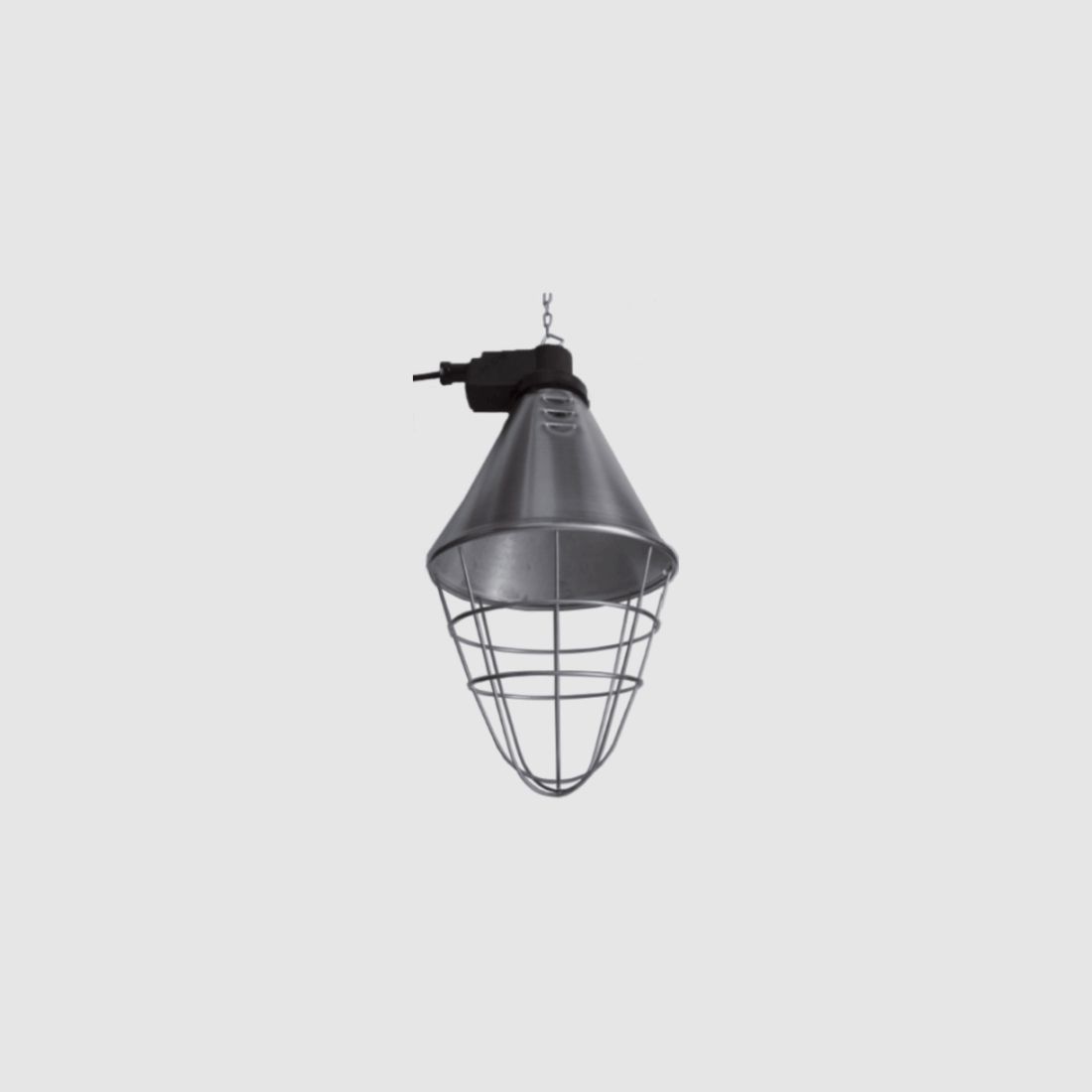 Pack Aufzucht + Heizlampe, Bild 11 von 16