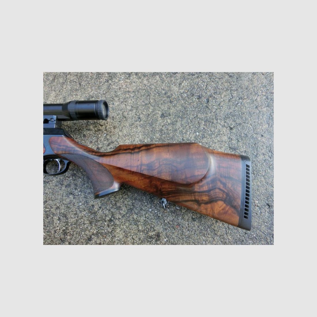 Sauer 202 Prise de Vue Élégance