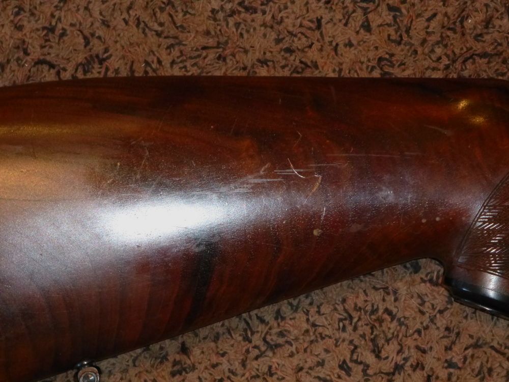 Blaser ES70