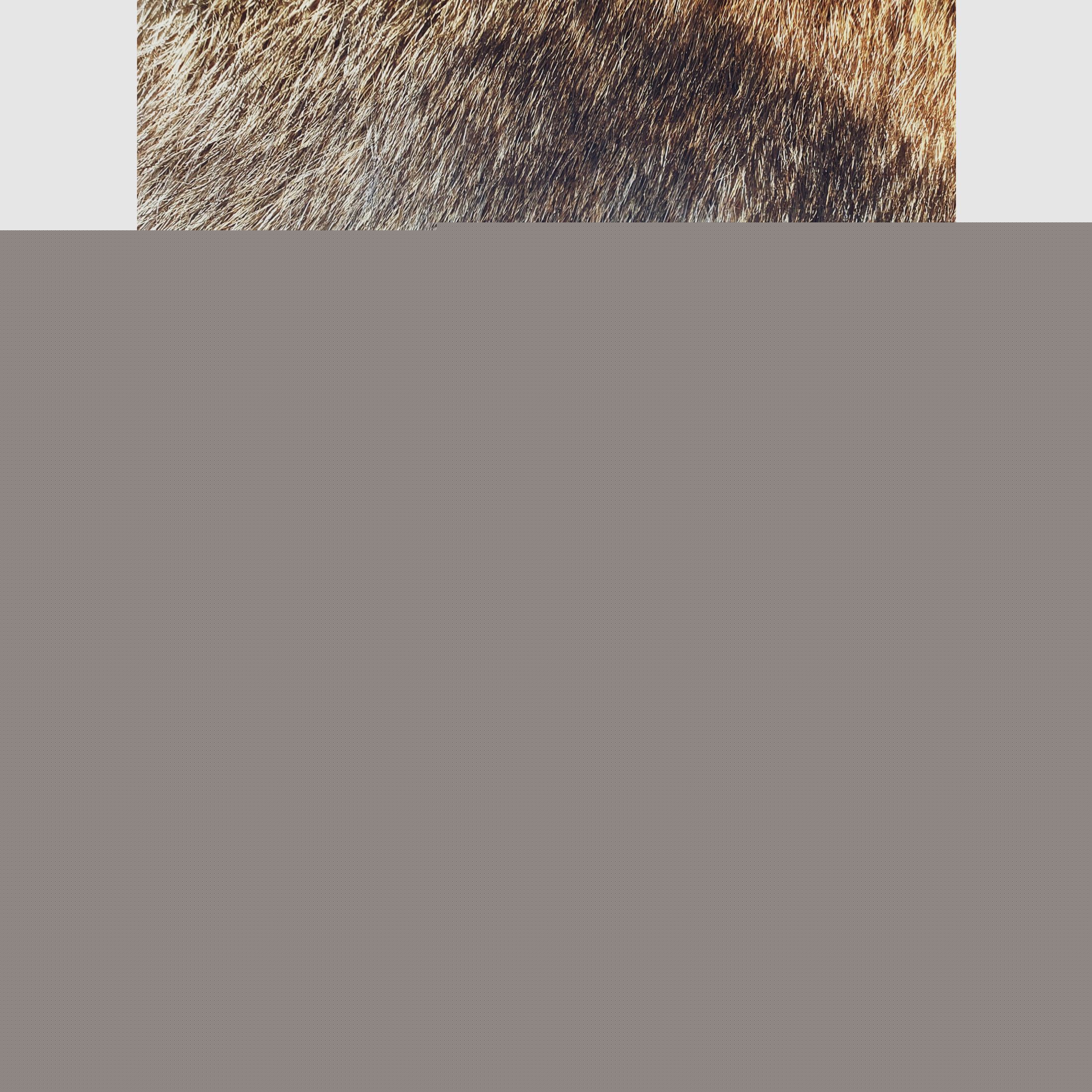 Abzugs- / Magazinhalterung für Blaser R8 / Mauser & Sauer S 100 S101 S404 S505 / M25