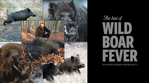 THE BEST OF WILD BOAR FEVER PT. 2