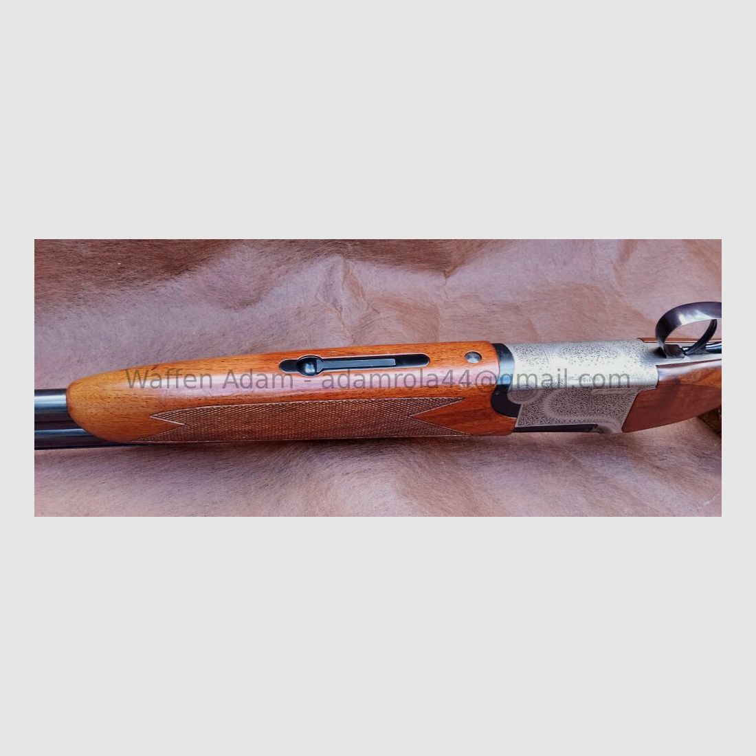 Luigi Franchi, Brescia / Italië Alcione S ; BDF Sport