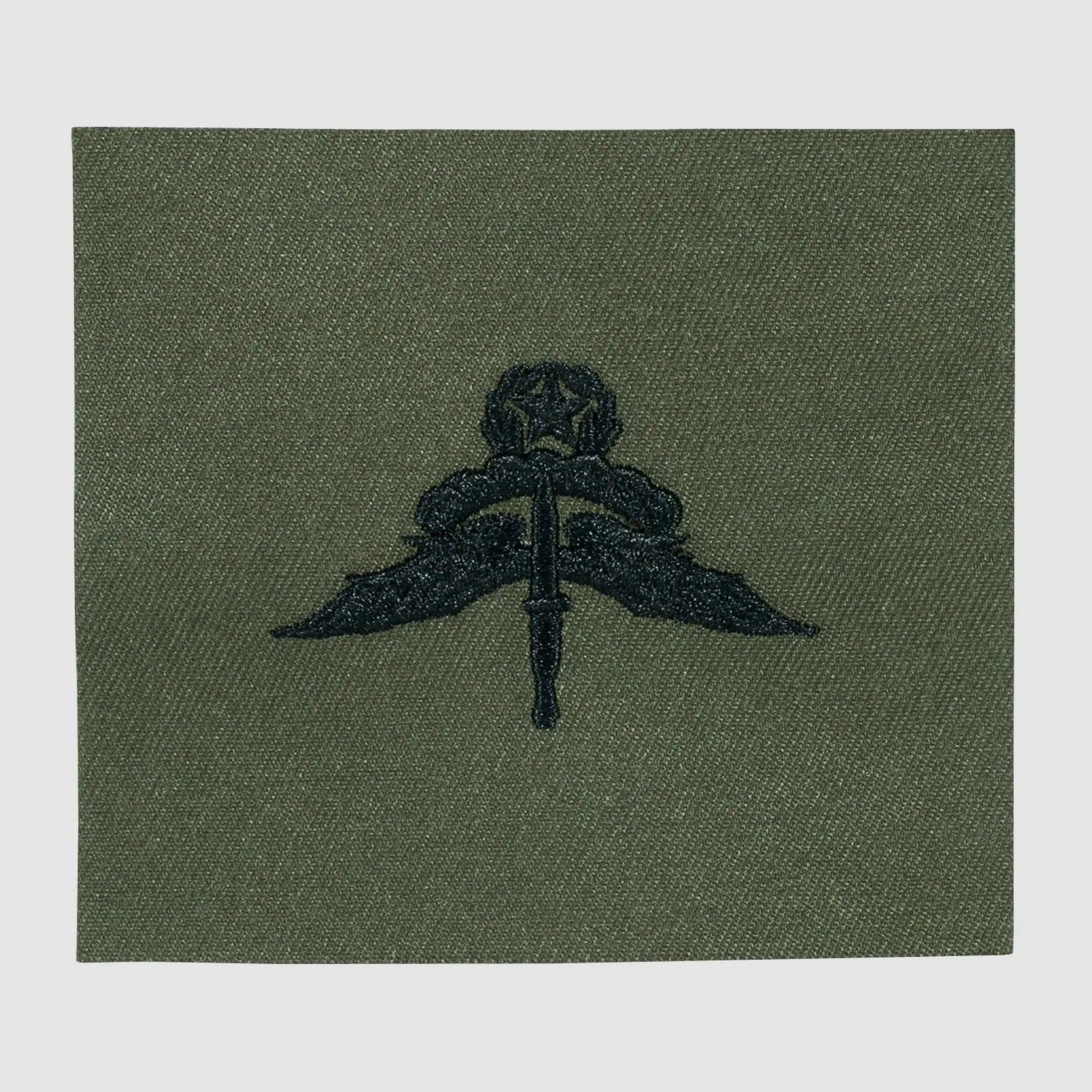 Unbekannt Abzeichen US Freefall Halo Master Textil oliv