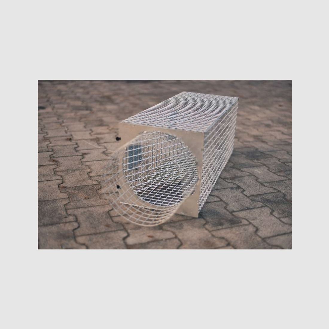 Krefelder Abfangkorb 