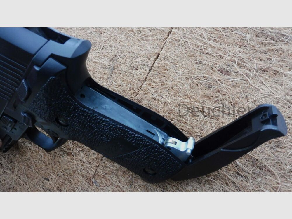 Sig Sauer 226