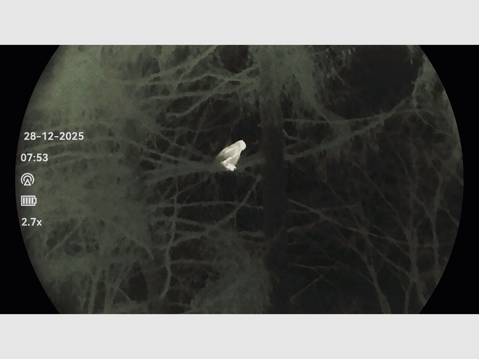 HIKMICRO Falcon FQ50 2.0 - OVP - caméra thermique