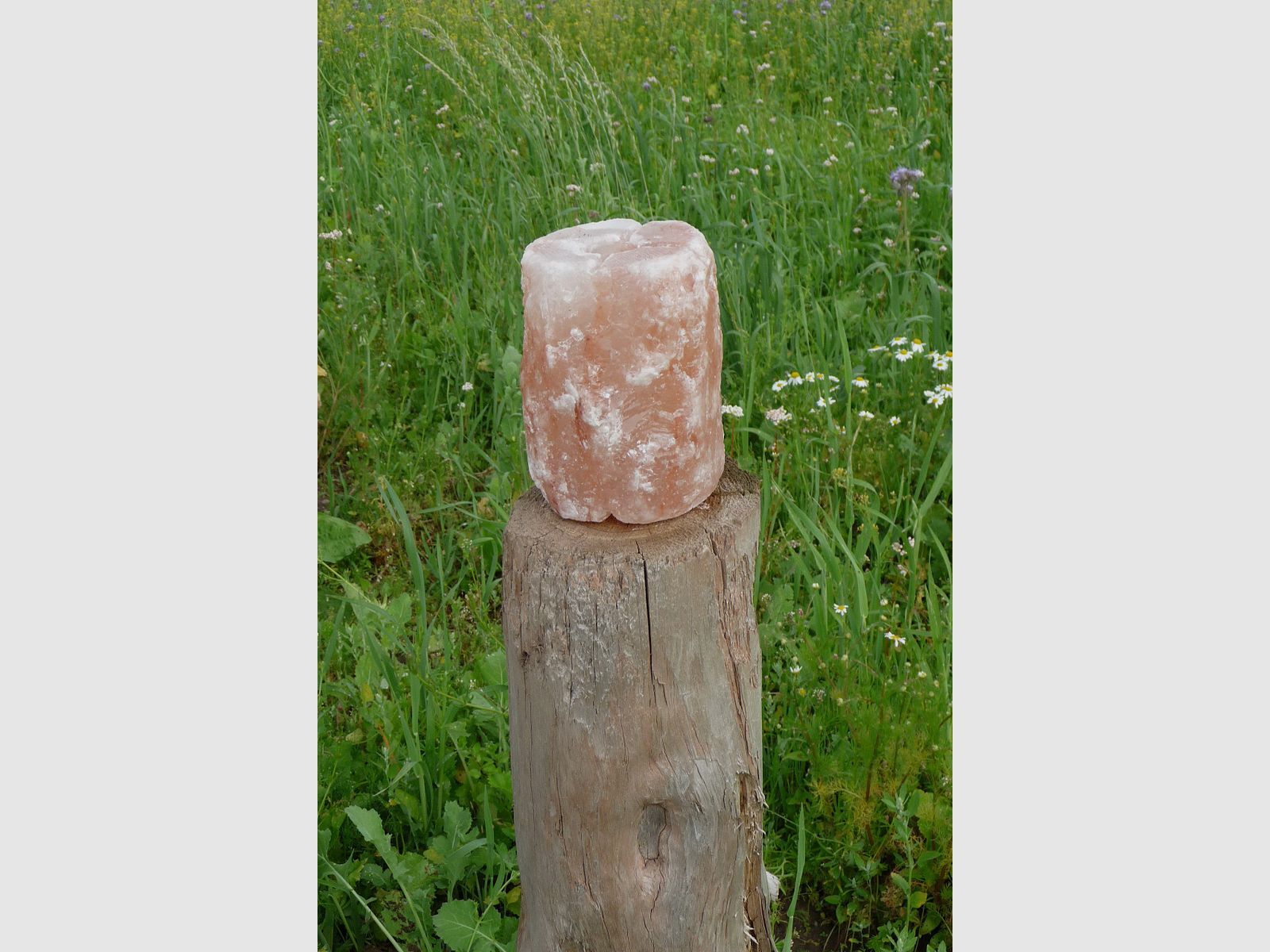 Leccalecca di sale dell'Himalaya