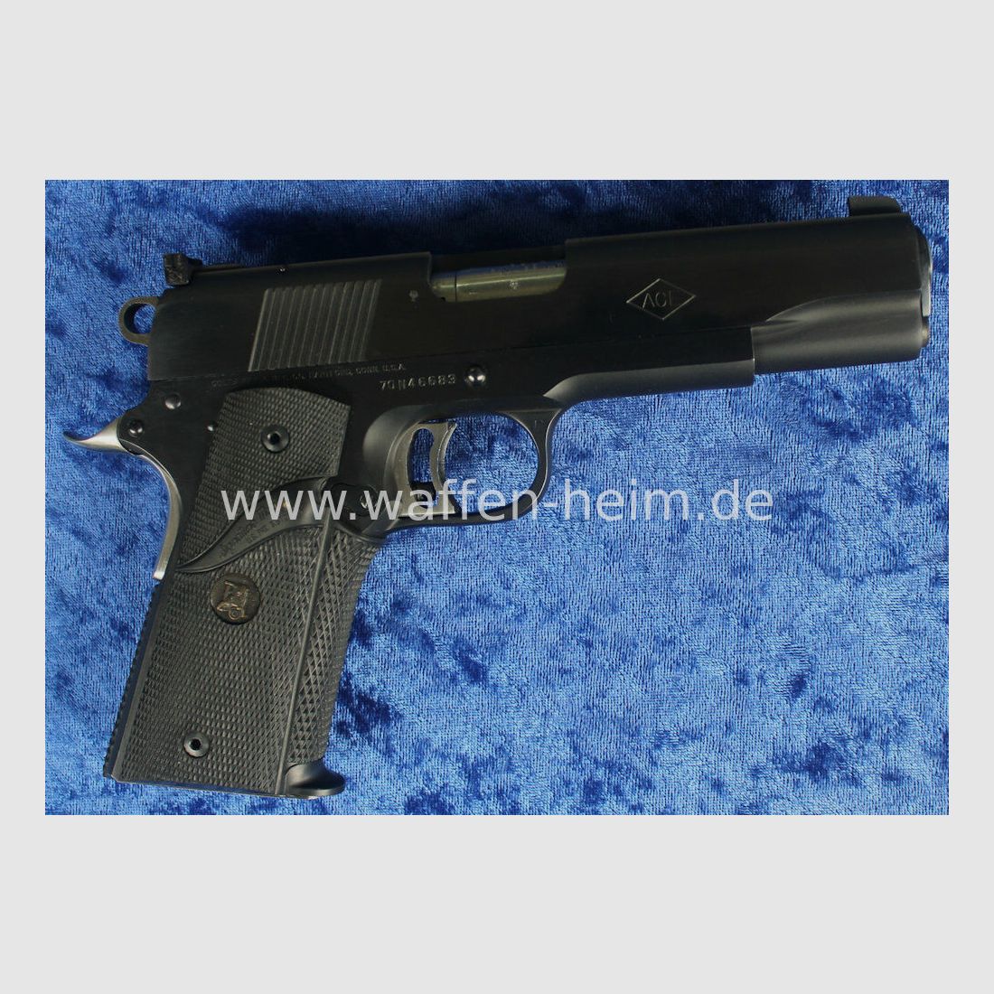 Colt ACE