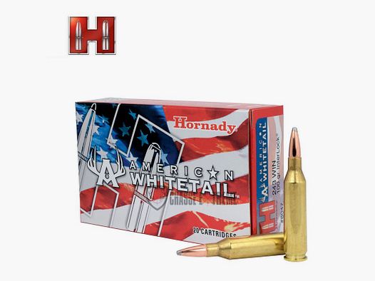 20 patronen HORNADY American Whitetail .243 Win 100 Gr Interlock Btsp