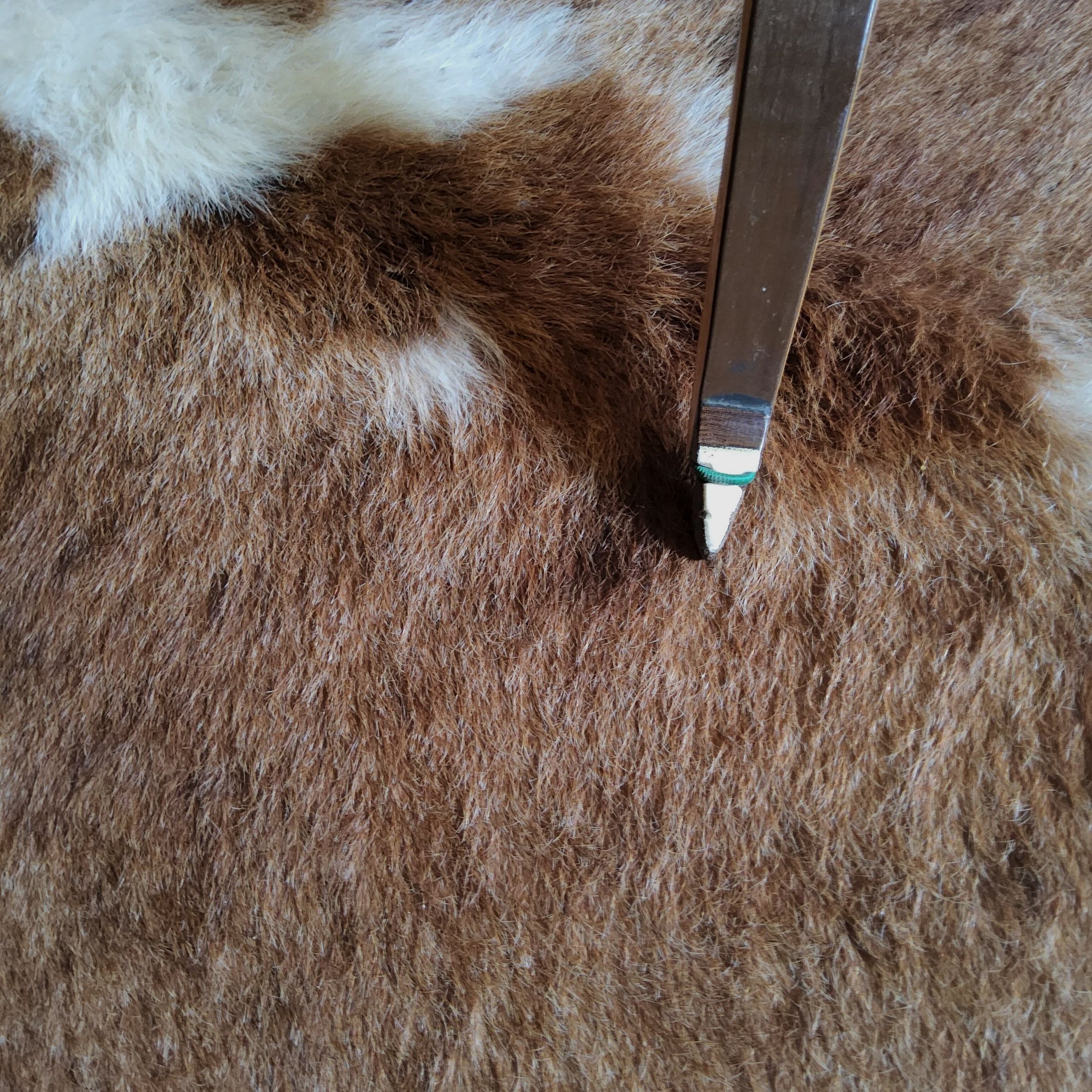 Black Flash Archery Jagdbogen Impala Bogen im Set