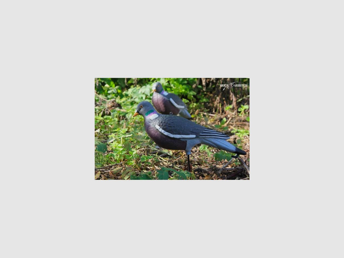 Forme Vision Pigeon HD active, image 3 sur 3
