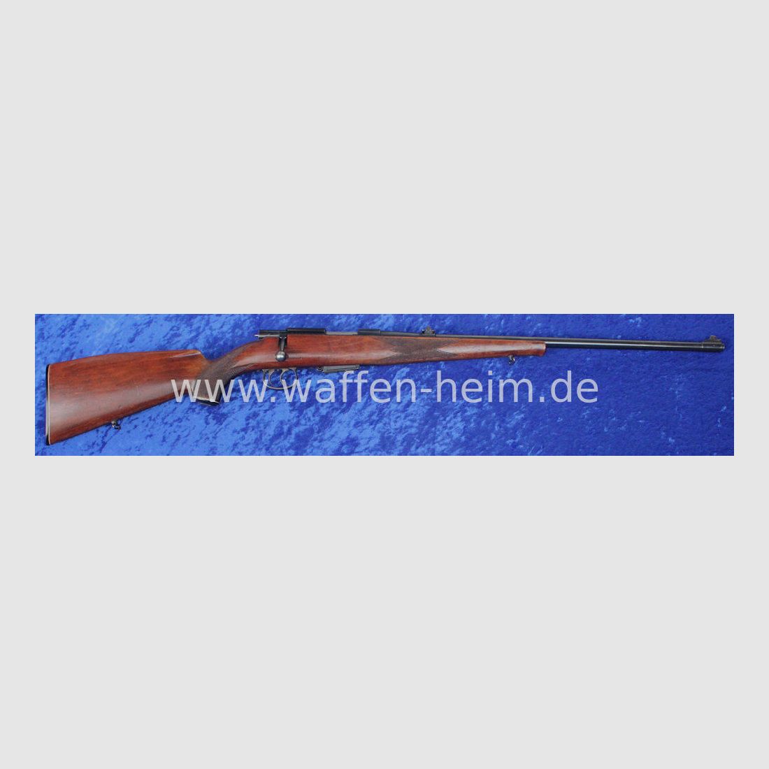 Anschütz