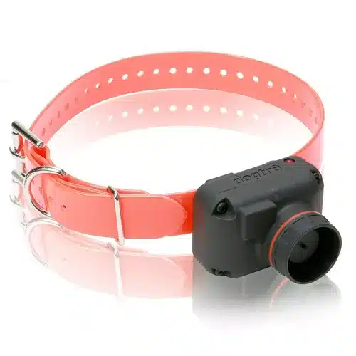Biper Halsband Dogtra Hawk H, afbeelding 2 van 2
