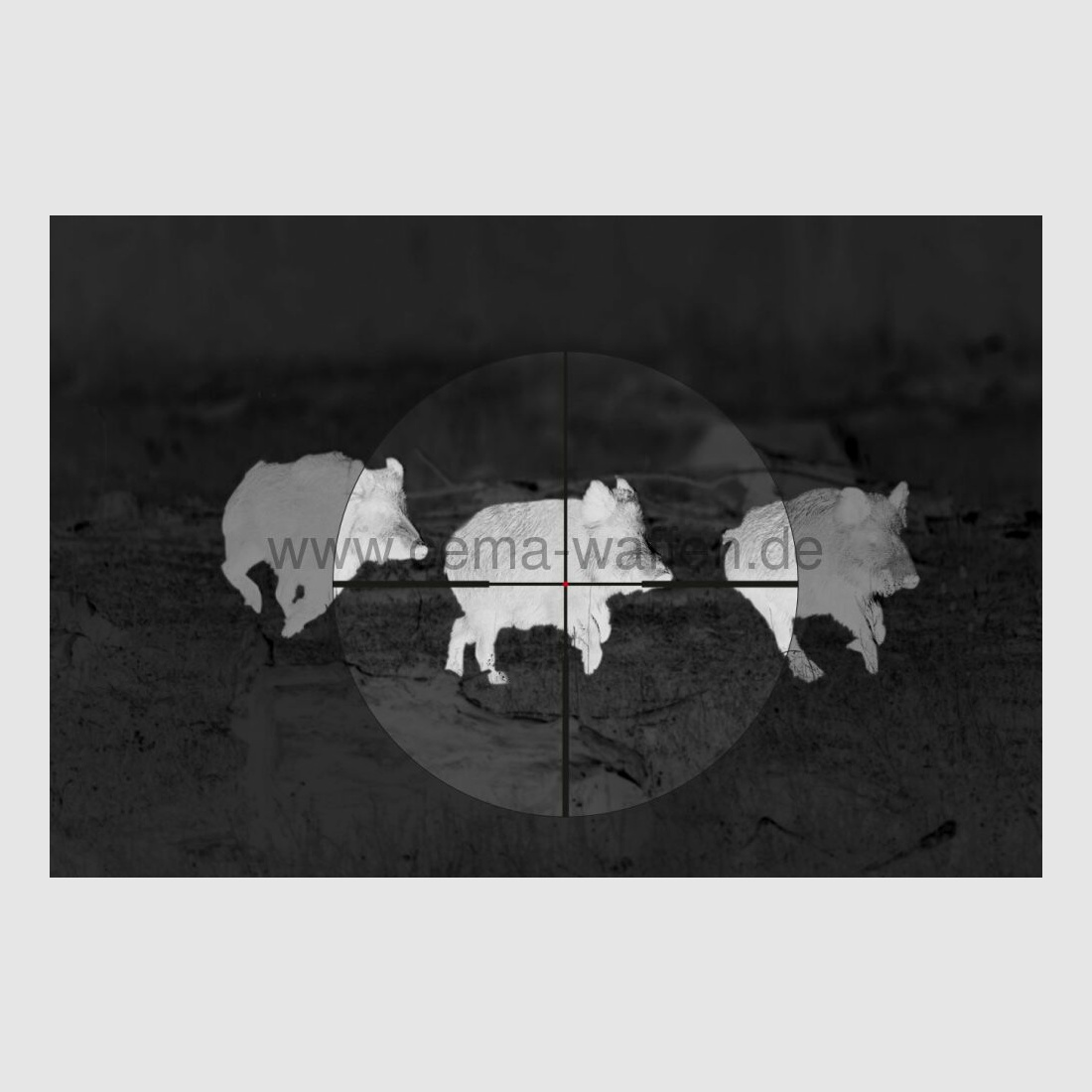 Alpen Optics Germany	 ALPEN Apex XP Zieloptik 2.5–16×42 A4 mit SmartDot Technology