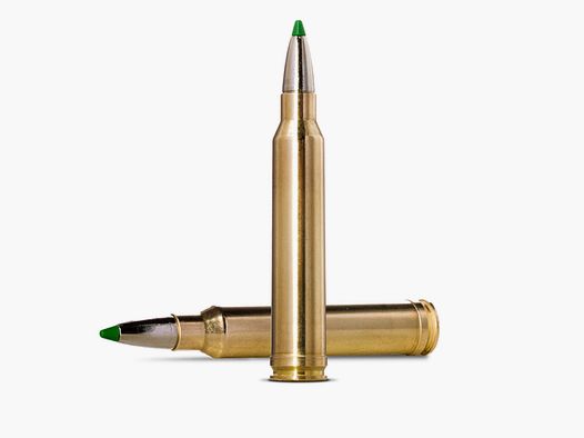 Norma Ecostrike .300 Win. Mag. Ecostrike 10,7g 165gr. Büchsenmunition