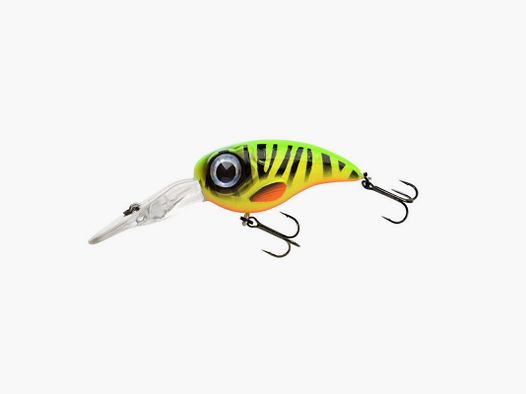 FAT IRIS 40 DR