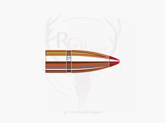 100 ogives Cal.30 D.308 135Grs FTX HORNADY