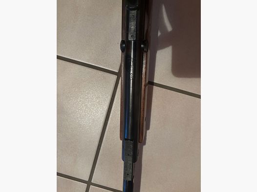 Luftgewehr Diana Modell 60