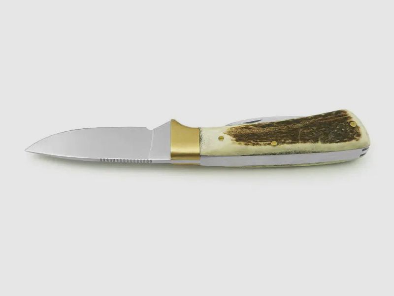 PUMA IP forest hunter