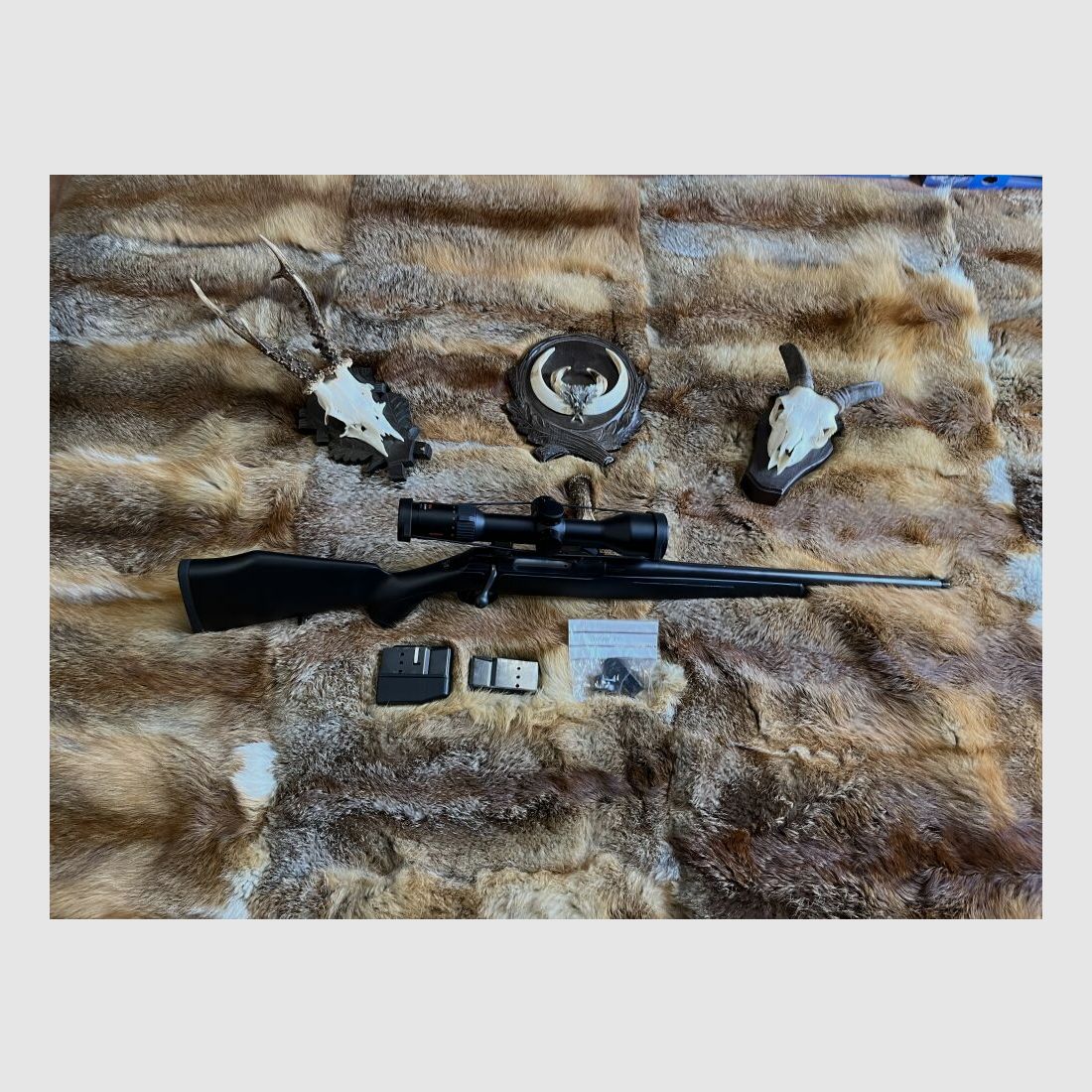 Sauer 202