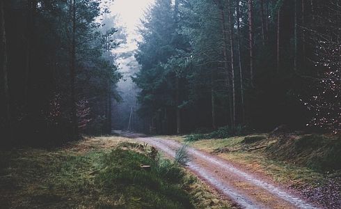 Jagdzeiten Niedersachsen