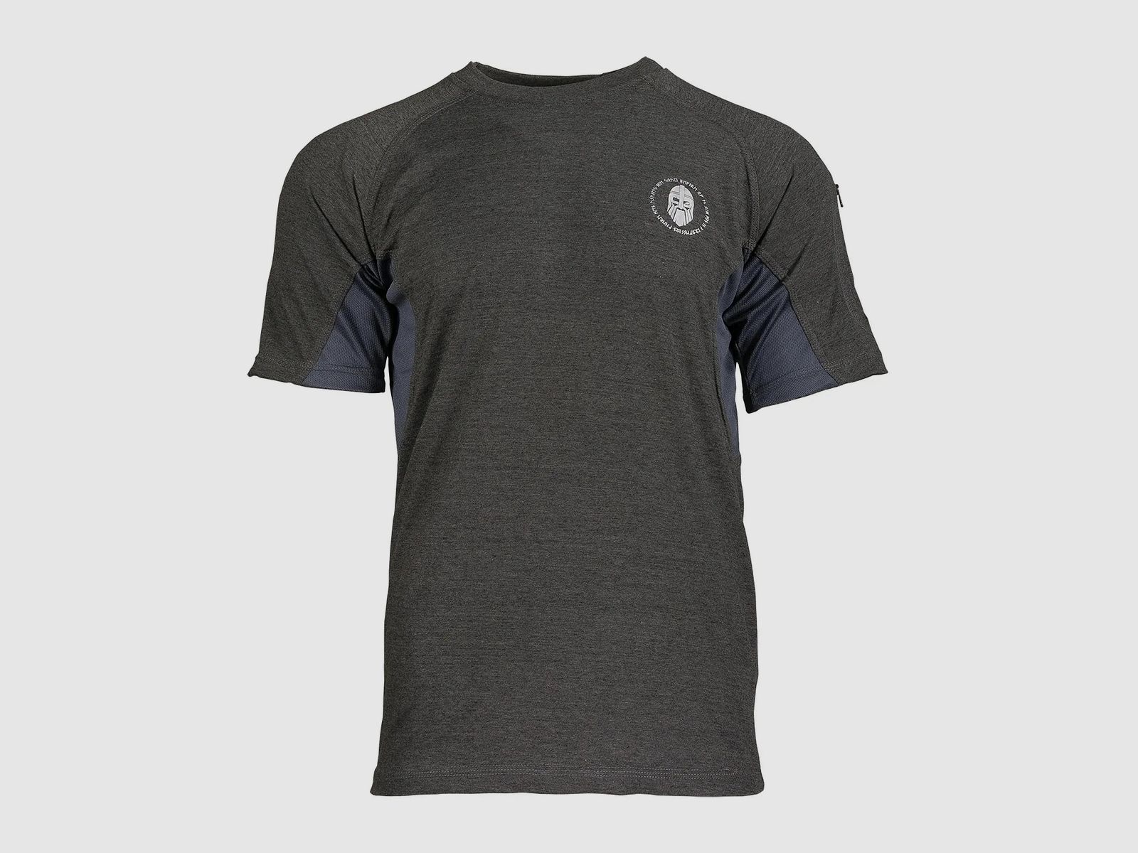 Ragnar Raids Ragnar Raids T-Shirt Aesir Norse grau