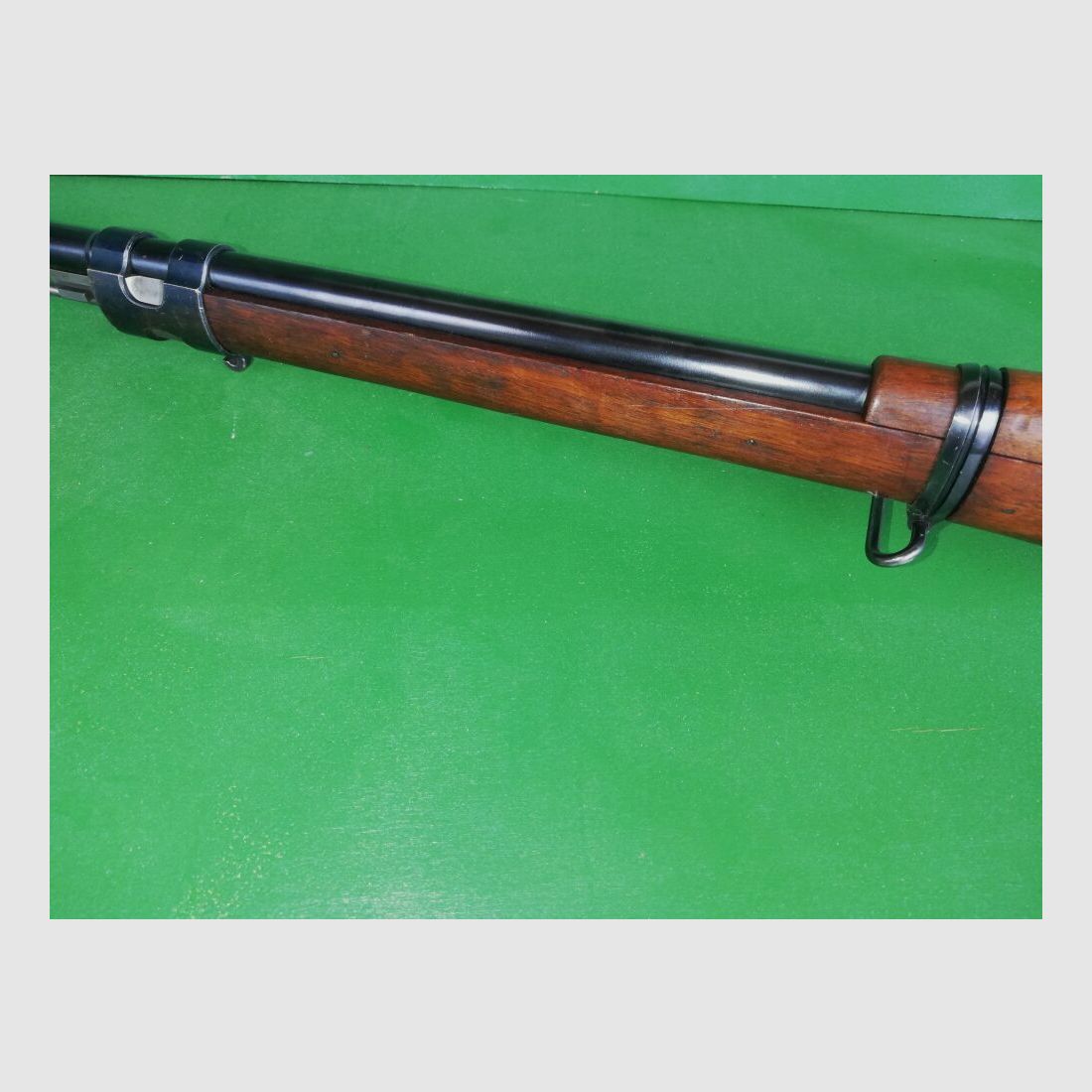 Brasilienmauser 1908