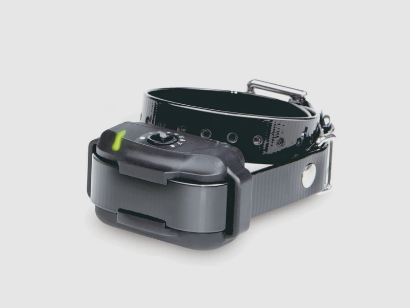 Zusätzliches Halsband Dogtra EF-3500