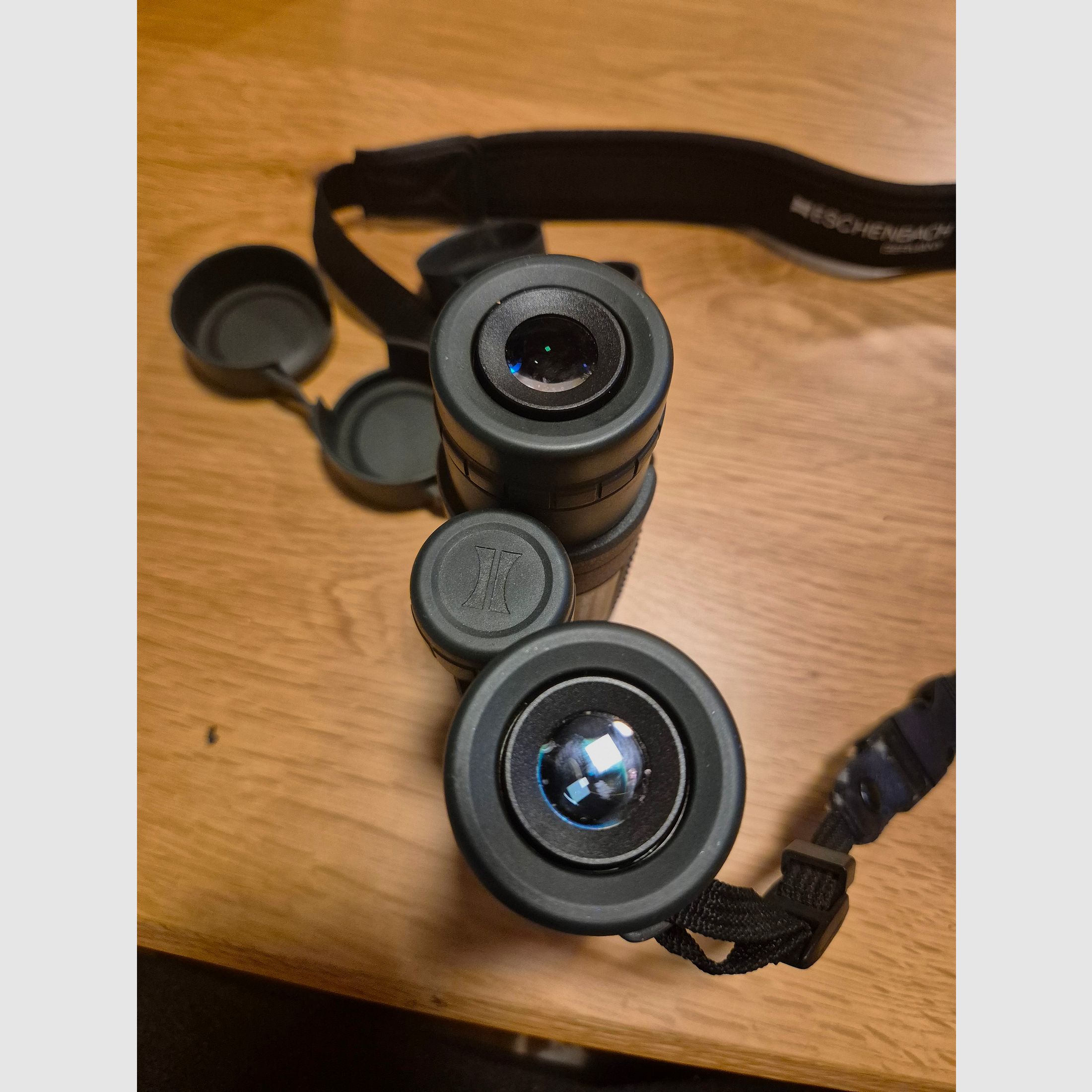 Fernglas Eschenbach Sektor D 10x42 B