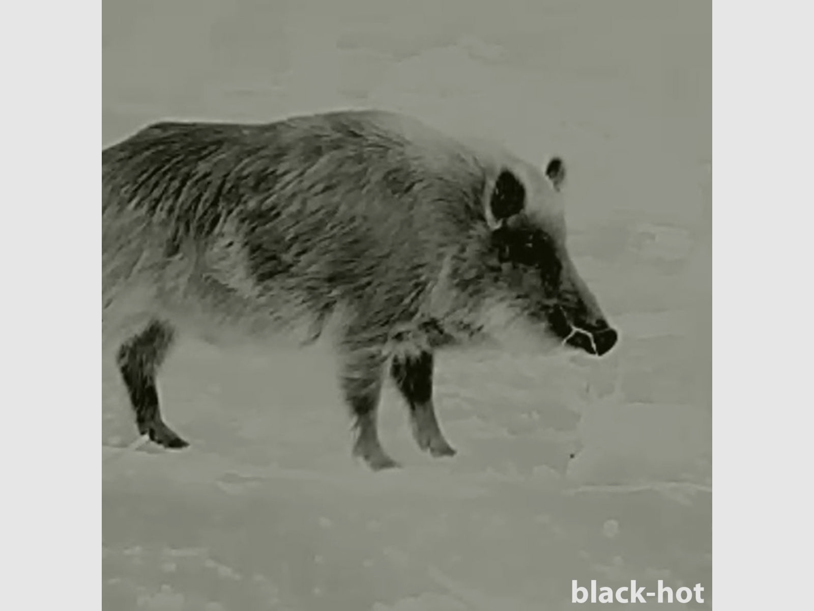 Lahoux Clip Elite 50 Wärmebildgerät