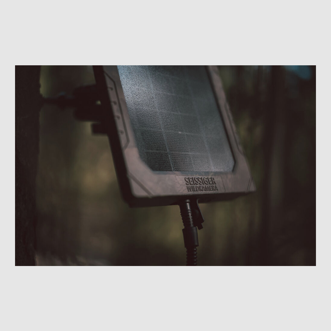 Seissiger Solarpanel für Wildkameras