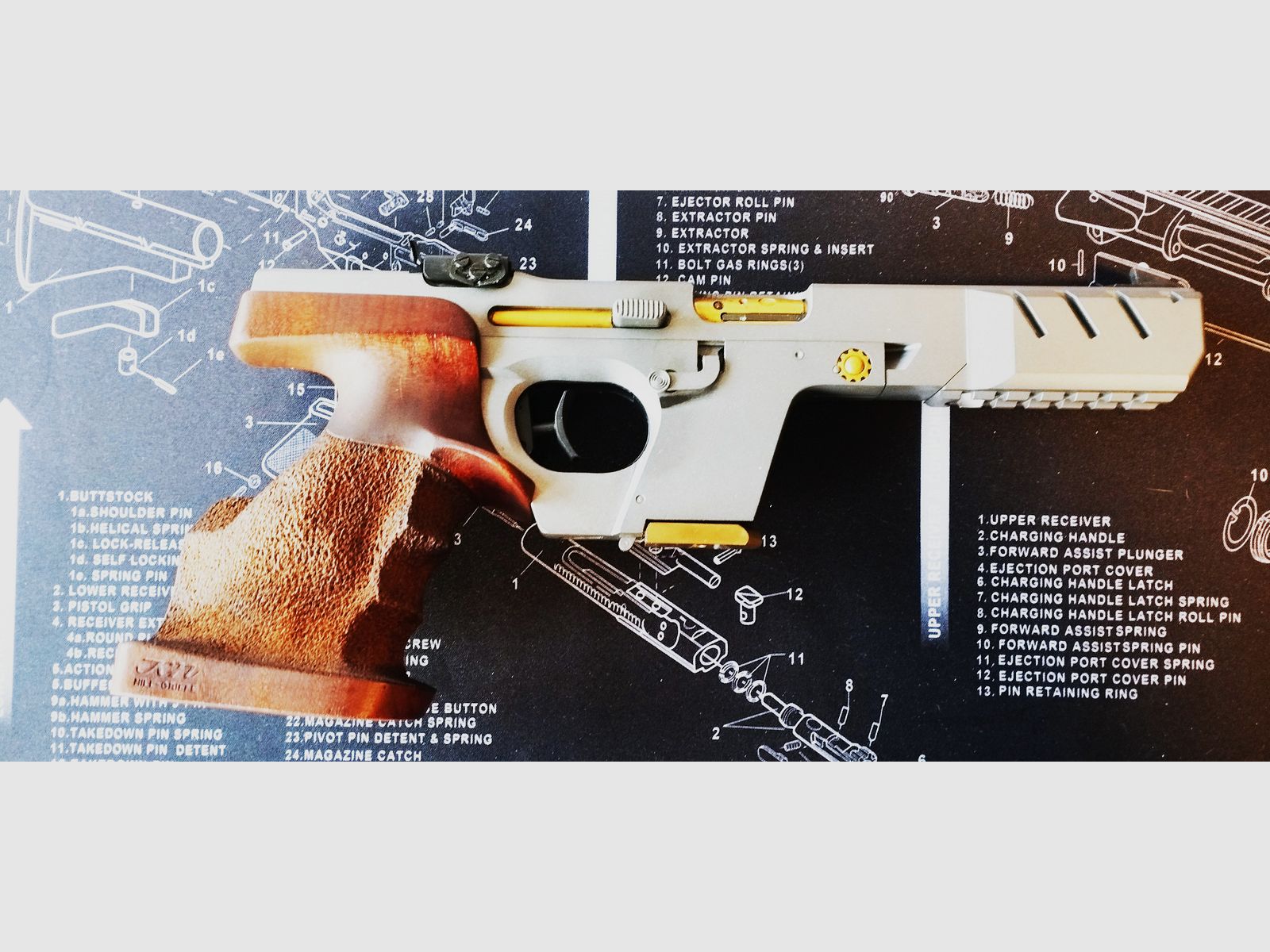 Walther GSP .22lr