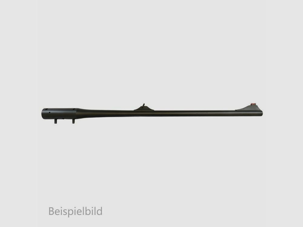 Blaser WL R8