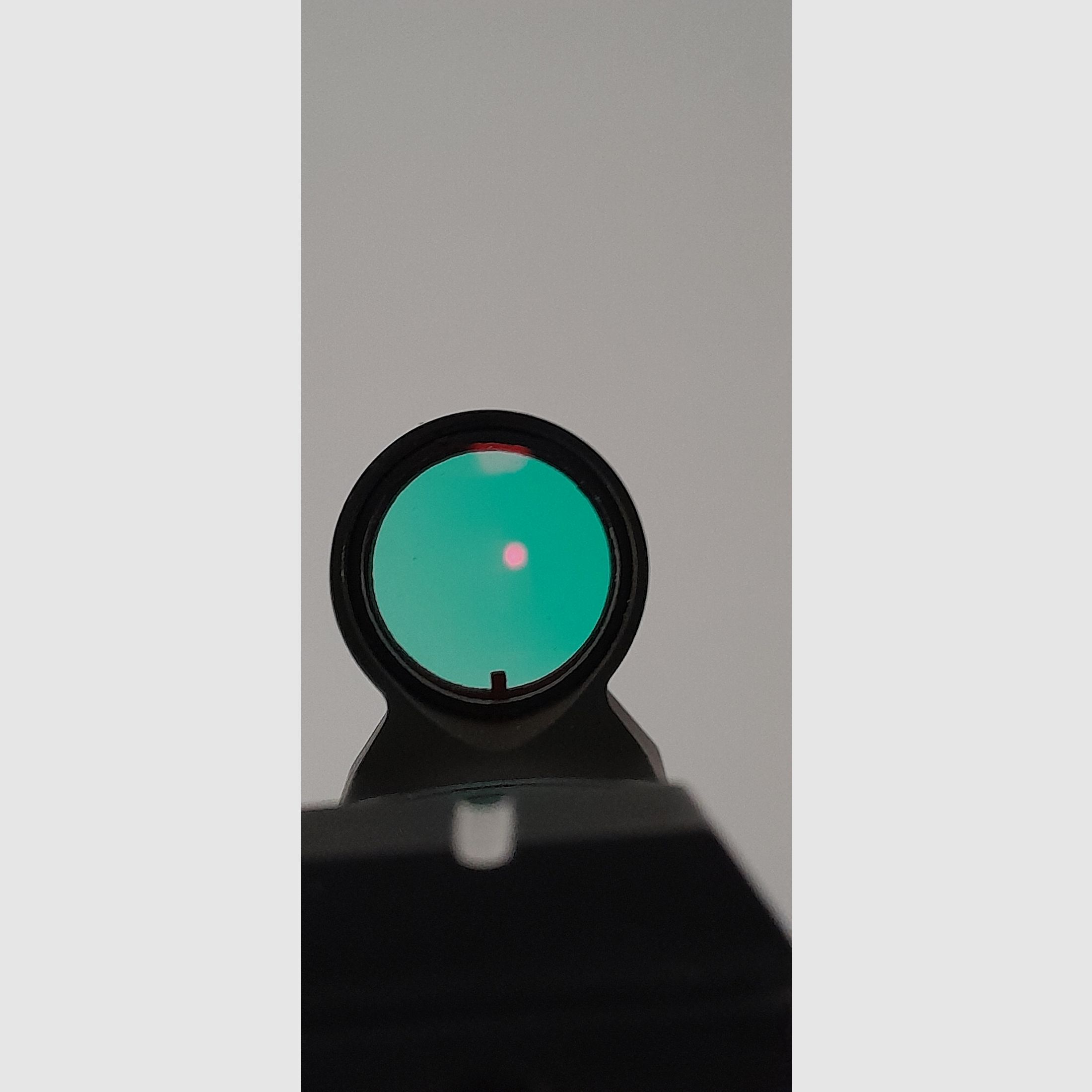 Vernickelte Walther CP88, CO2-Pistole, mit Echtholzgriffschalen und Rotpunktvisier