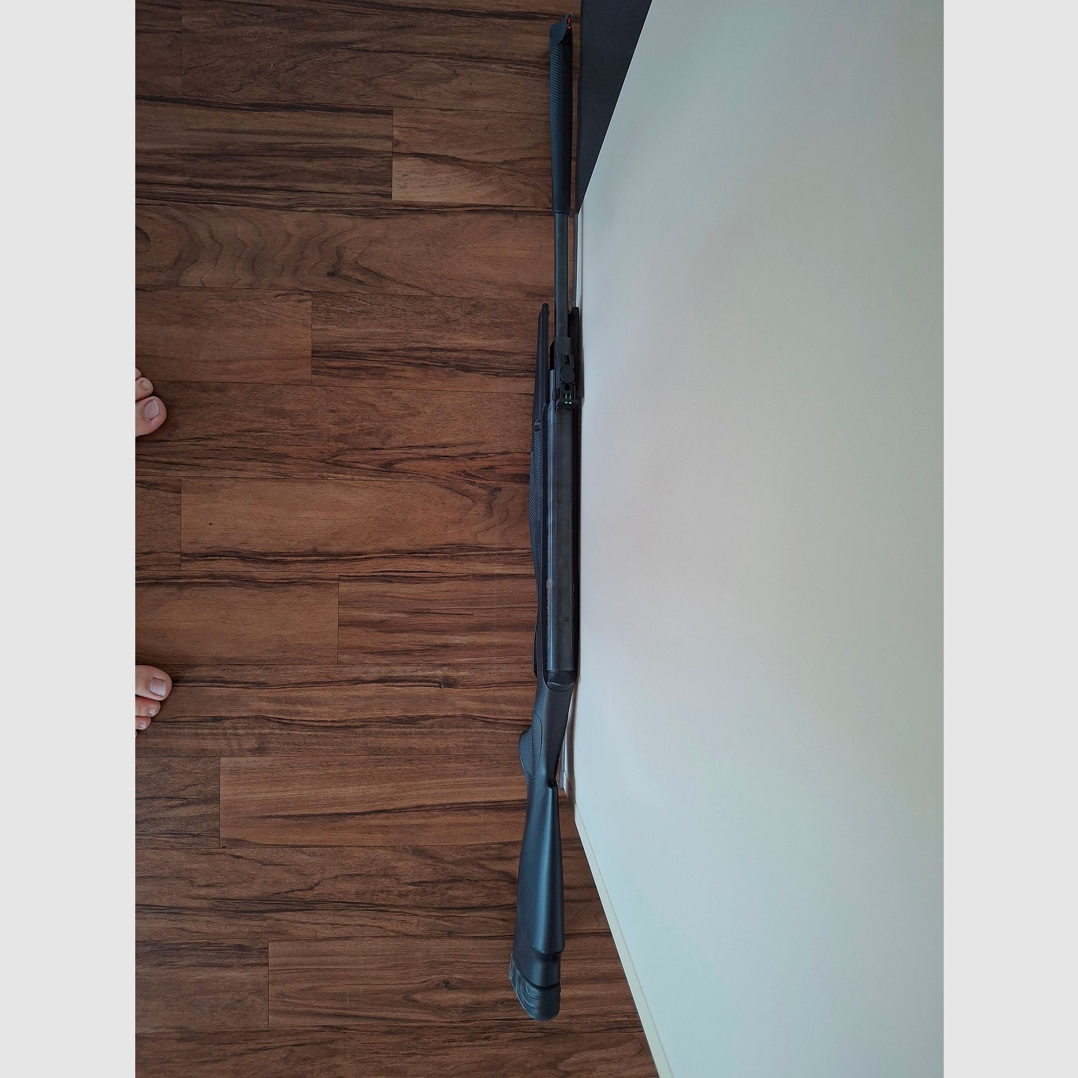 Stoeger RX5 con proyectil de punta/ trampa de balas y papel de tiro