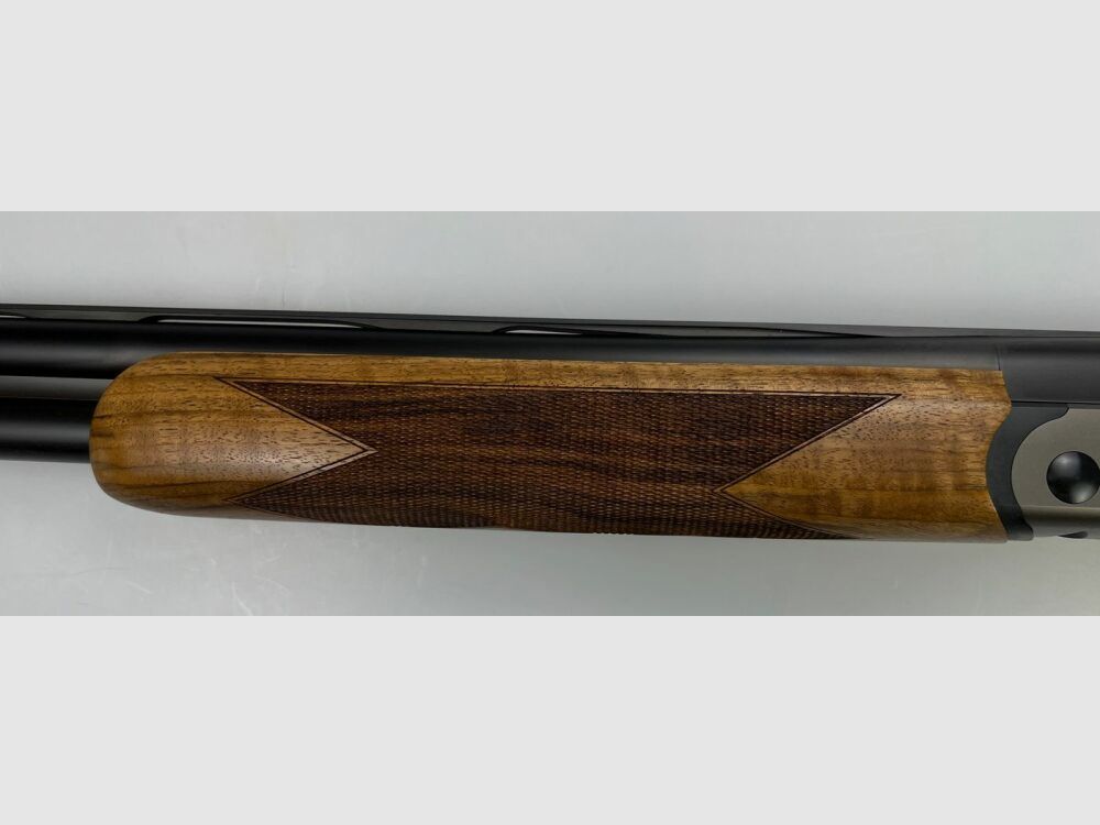 Blaser F16 Game