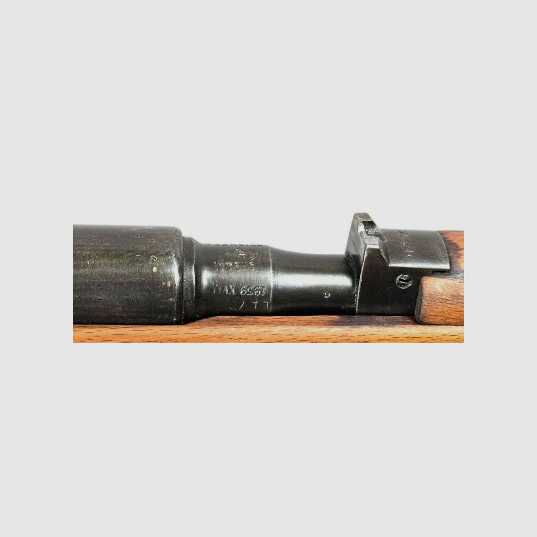 Terni 91/38 (Carbine)