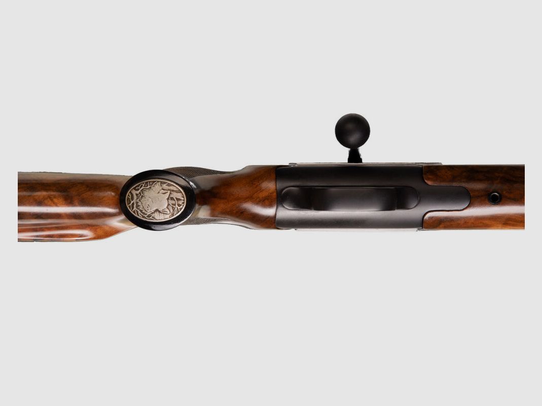 Blaser R93 Luxus Custom