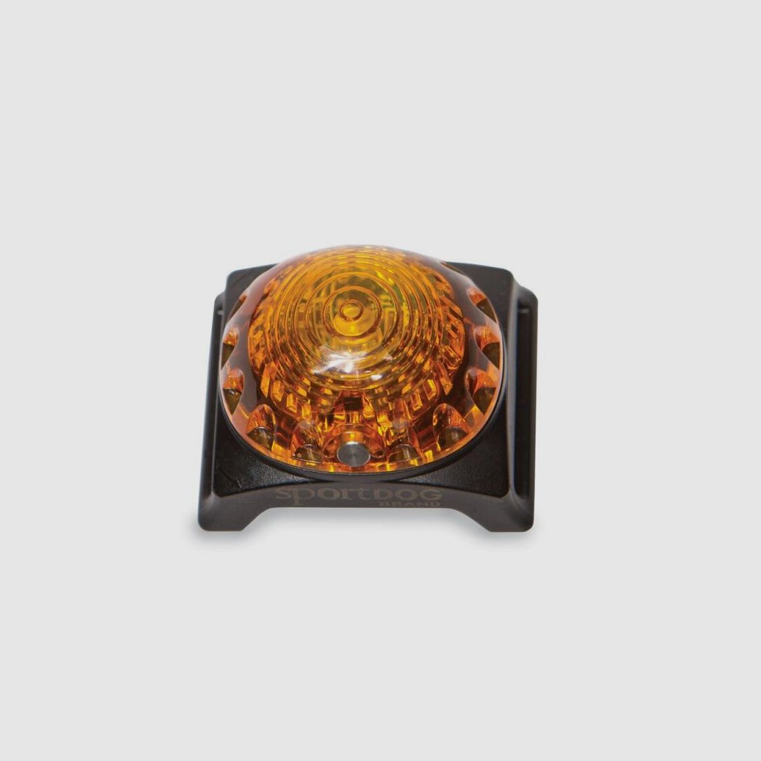 Sport Dog Hunde Ortungsleuchte